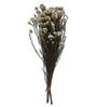 White Rice Flower 3 Stems
