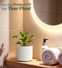 White Round Shaped Polymer Planter