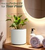 White Round Shaped Polymer Planter