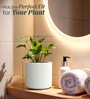 White Round Shaped Polymer Planter