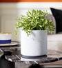 White Round ShapedMarble Polymer Planter