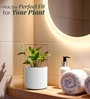 White Round ShapedMarble Polymer Planter