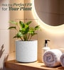 White Round ShapedMarble Polymer Planter