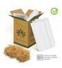 White Scindapsus Compacta Medium Natural Plant In Fibre Pot, Set Of 2