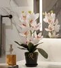 White Silk Fabric Coral Luxe Orchid Arrangement Pot With Flower
