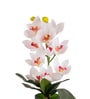 White Silk Fabric Coral Luxe Orchid Arrangement Pot With Flower