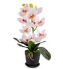 White Silk Fabric Coral Luxe Orchid Arrangement Pot With Flower