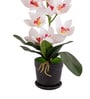 White Silk Fabric Coral Luxe Orchid Arrangement Pot With Flower