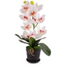 White Silk Fabric Coral Luxe Orchid Arrangement Pot With Flower