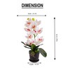 White Silk Fabric Coral Luxe Orchid Arrangement Pot With Flower