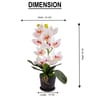White Silk Fabric Coral Luxe Orchid Arrangement Pot With Flower