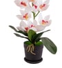 White Silk Fabric Coral Luxe Orchid Arrangement Pot With Flower