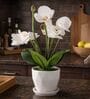 White Silk Fabric Orchid Radiance Arrangement Pot With Flower