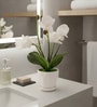 White Silk Fabric Orchid Radiance Arrangement Pot With Flower