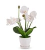 White Silk Fabric Orchid Radiance Arrangement Pot With Flower