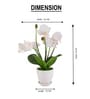 White Silk Fabric Orchid Radiance Arrangement Pot With Flower