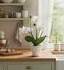 White Silk Fabric Orchid Radiance Arrangement Pot With Flower