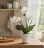 White Silk Fabric Orchid Radiance Arrangement Pot With Flower