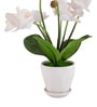 White Silk Fabric Orchid Radiance Arrangement Pot With Flower