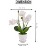 White Silk Fabric Orchid Radiance Arrangement Pot With Flower