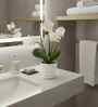 White Silk Fabric Orchid Radiance Arrangement Pot With Flower