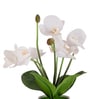 White Silk Fabric Orchid Radiance Arrangement Pot With Flower