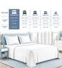 White Solid 1000 TC Cotton Super King Sized Bedsheet with 4 Pillow Covers