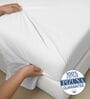 White Solid 1000 TC Cotton Super King Sized Bedsheet with 4 Pillow Covers