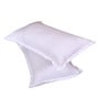 White Solid 150 TC Glace Cotton Queen Sized Double Bedsheet with 2 Pillow Covers