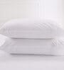 White Solid 200TC Cotton 20 x 30 Inches Pillow Covers (Set of 2)