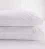 White Solid 200 TC Cotton Single Bed Fitted Sheet with 1 Pillow Cover 82 Collection