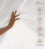 White Solid 400 TC Cotton King Sized Fitted sheet with 2 Pillow Covers