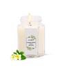 Frangipani Aroma White Soy Wax Scented Candle