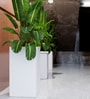 White Square Shaped Polymer Floor Planter