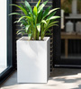 White Square Shaped Polymer Floor Planter