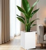 White Square Shaped Polymer Floor Planter
