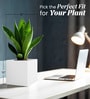 White Square Shaped Polymer Floor Planter