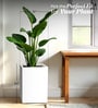 White Square Shaped Polymer Floor Planter