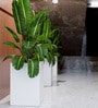 White Square Shaped Polymer Floor Planter
