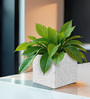 White Square Shaped Marble Polymer Floor Planter