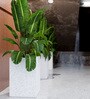 White Square Shaped Marble Polymer Floor Planter