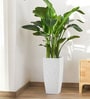 White Square Shaped Marble Polymer Floor Planter