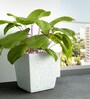 White Square Shaped Marble Polymer Floor Planter