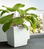 White Square Shaped Marble Polymer Floor Planter