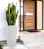 White Square Shaped Marble Polymer Floor Planter
