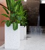 White Square Shaped Marble Polymer Floor Planter