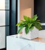 White Square Shaped Marble Polymer Floor Planter