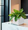 White Square Shaped Marble Polymer Floor Planter