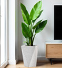 White Square Shaped Marble Polymer Floor Planter