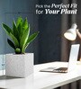 White Square Shaped Marble Polymer Floor Planter